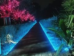 -洪湖家庭农场·团建·露营·会议