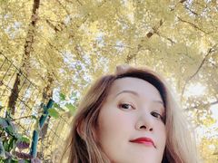 -三里屯东五街银杏大道