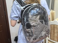 -艾贝尔宠物医院 ·内科全科(梁溪路店)