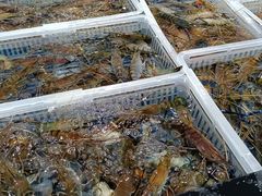 -永辉超市(鲁谷店)