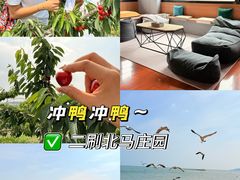 -大连北马山庄