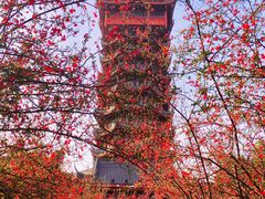 -塔子山公园