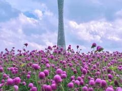 -海心沙亚运公园