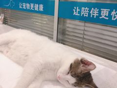 -美迦爱-牙专科·兔科·骨科诊疗中心(北苑店)