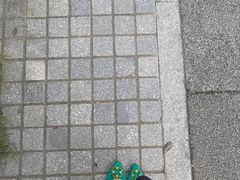 -杭州城北体育公园