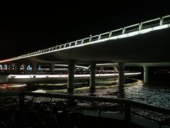-演武大桥观景平台