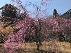 -清凉寺