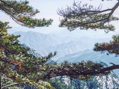 -黄山风景区