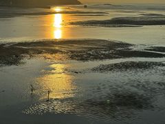 -北岐滩涂
