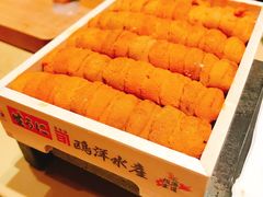 拍卖第一海胆-橼舍鮨青木