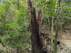 -七仙岭温泉国家森林公园