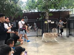 -TrueLove @ Neverland (Husky Cafe)