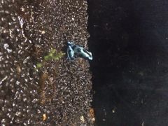 -上海大自然野生昆虫馆