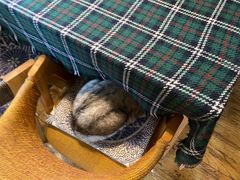 -不舍昼夜咖啡馆