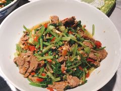香菜炒牛肉-壹盏灯(蚂蚁工房店)