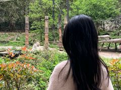 -贵州森林野生动物园
