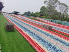 -东方绿舟景区