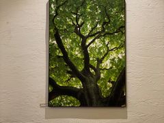 -常识咖啡common sense(春熙路店)