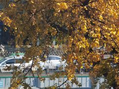 -四川大学(华西校区)