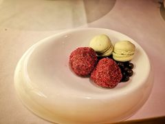 -蝶舍·MAISON PAPILLON