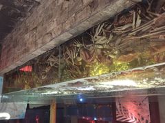 蟹之国-蟹之国·精品蟹料理(极地店)