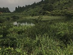 -雁荡山雁湖景区