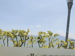 -佳丽海鲜大酒楼(环岛海景店)