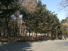 -长春市南湖公园