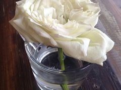 IMG_6684-MIKAKU(万达广场上海宝山店)