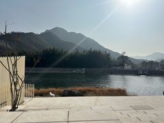 -中国宣纸文化园