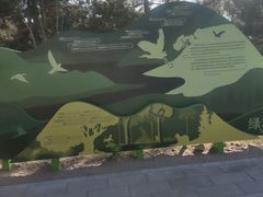 -绿堤公园