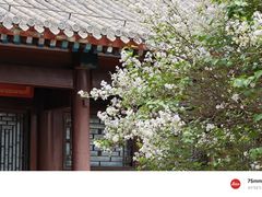 -承德避暑山庄景区