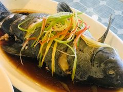 高原雪山鱼-小厨子私房菜·云南美食店