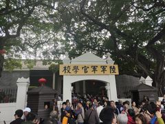 -长洲岛