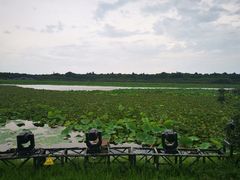 -上海海湾国家森林公园