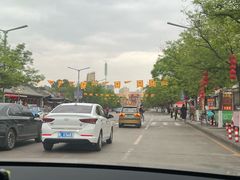 -大槐树寻根祭祖园
