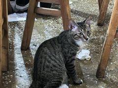 -九九豆花馆(解放碑步行街店)