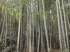 -敬亭山风景名胜区