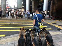 -马哥孛罗香港酒店