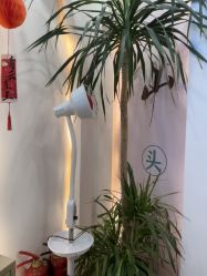 -梵茜儿·头道汤养生馆