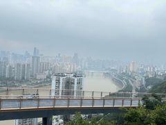 -李子坝梁山鸡(李子坝大鸡哥店)