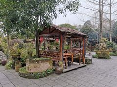 -青城甲(青城山店)