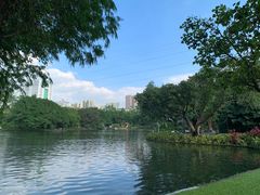-晓港公园