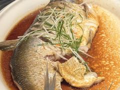 -古韵轩·园林餐厅