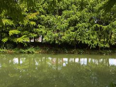 -昆山城市生态森林公园