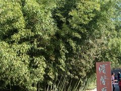 -竹泉村旅游度假区