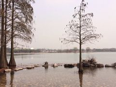 -东湖落雁景区