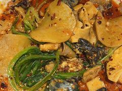 -福苗小骆驼烧烤(太奥广场店)