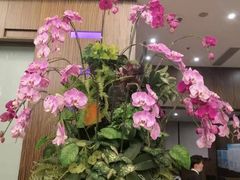 -上海虹桥西郊假日酒店