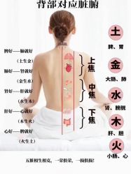 -天姿美容·美体科技SPA·艾姿美店